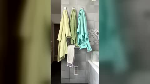 Snapshot of easyfrenchguy chatting on 04.15.26 French Guy online show from 04.15.26