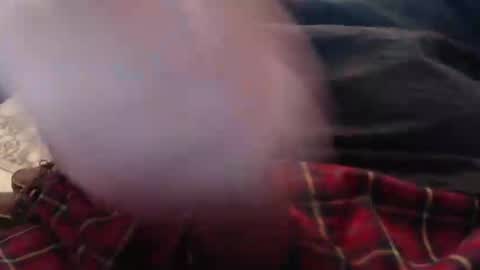 eat_a_peach2 online show from 03.04.26