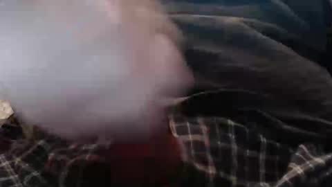 eat_a_peach2 online show from 04.02.26