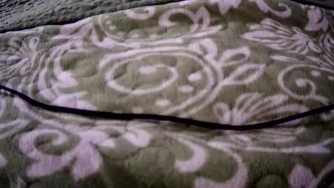 eatermo online show from 04.18.26