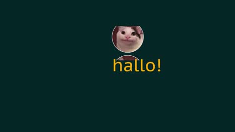 Snapshot of eblidator chatting on 12.29.24 Vaco Eblidator online show from 12.29.24