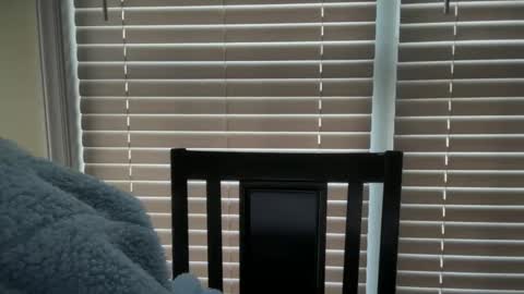 americnbarbie online show from 03.10.25