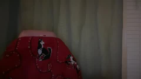 americnbarbie online show from 11.21.25