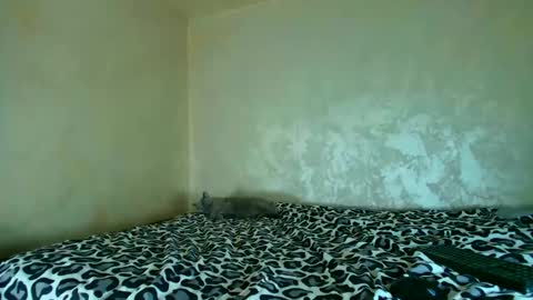 Nomyx  OF check online show from 11.20.25