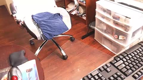 edginginedmonton online show from 04.16.26