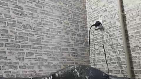 edithmanning online show from 02.10.25