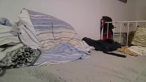 Snapshot of edwill13 chatting on 02.12.26 EdM online show from 02.12.26