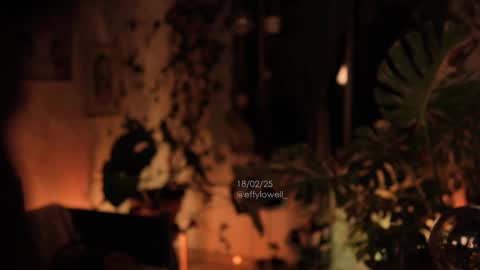 Snapshot of effylowell_ chatting on 02.19.25 Effy online show from 02.19.25