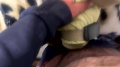 ehdgher online show from 04.28.26