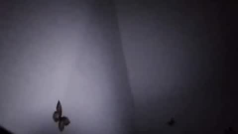 Ekspansion online show from 01.08.26