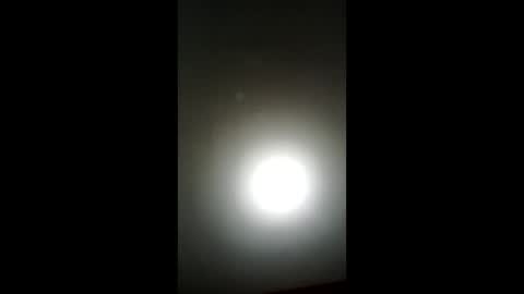 Snapshot of el5476995 chatting on 02.25.26 el5476995 online show from 02.25.26