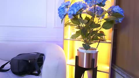 Elasummeer online show from 01.13.26