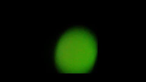 Snapshot of eldonan chatting on 10.24.25 Nando online show from 10.24.25