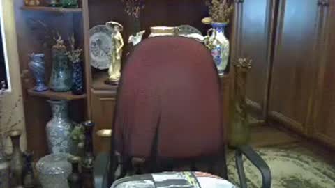ElenaZed online show from 07.28.26