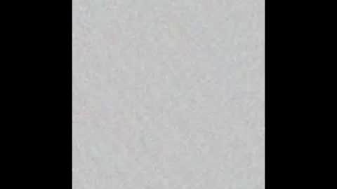 elephant_titus online show from 01.20.25