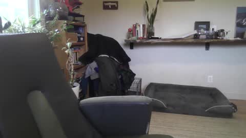 Snapshot of elephantfox chatting on 02.22.26 fox online show from 02.22.26