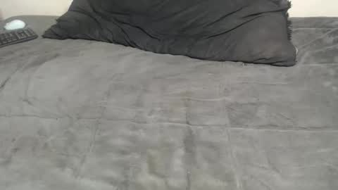 elgsslt online show from 11.02.25