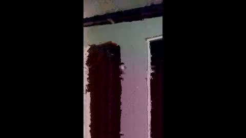 elizabit online show from 03.04.26