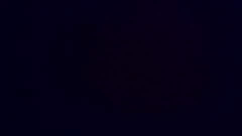 ellemoitoi online show from 04.23.26