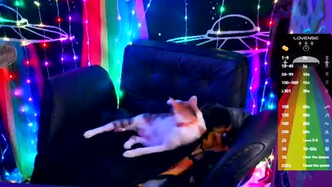 Ellie online show from 06.18.26
