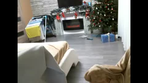 EliMoL online show from 02.07.25