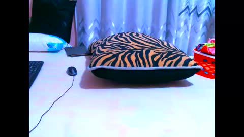 elodielynn online show from 05.19.26