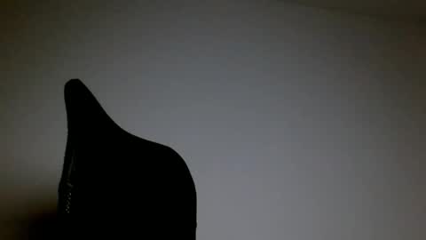 elosocazador online show from 04.21.26