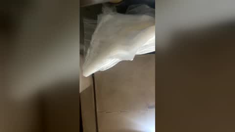 elpresi253 online show from 04.21.26