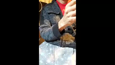 elvergg1 online show from 01.19.26