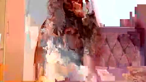 Elysey online show from 09.24.25