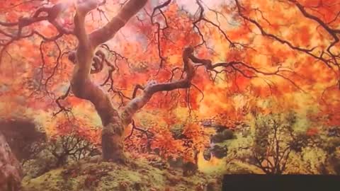 Ember Starleena online show from 09.29.25