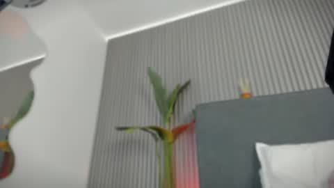 emelie_89 online show from 07.06.26