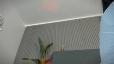 emelie_89 online show from 07.15.26