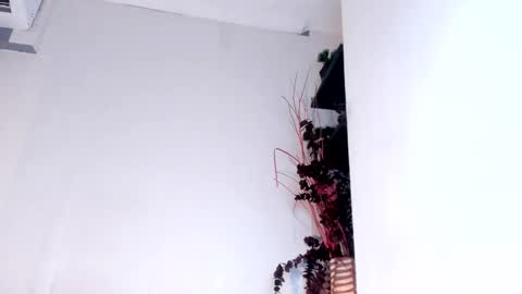 Emily online show from 02.12.25