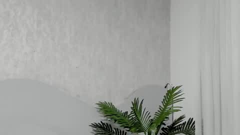 Emma Morgann online show from 02.25.26