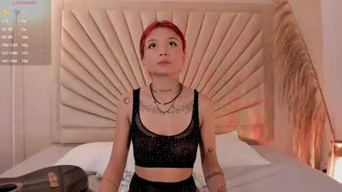           online show from 11.11.25