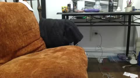 empusalamia online show from 01.18.25