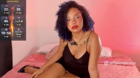   Schedule 600a.m - 200p.m Col hour online show from 11.21.25