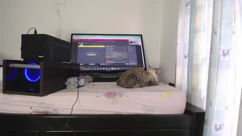 Eolicasextwo online show from 01.10.25