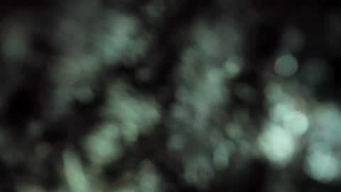 E R I K A  - L  Y R I C S online show from 07.27.26