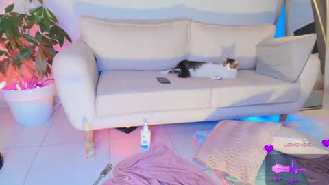 TINY  online show from 06.29.26