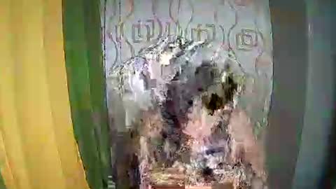 Ervana online show from 02.11.26