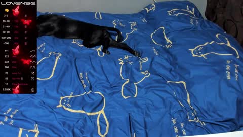 Eva online show from 01.19.25