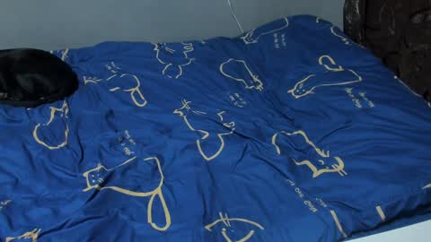 Eva online show from 02.06.25