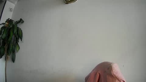 Snapshot of evacollins12 chatting on 02.15.25 evacollins12 online show from 02.15.25