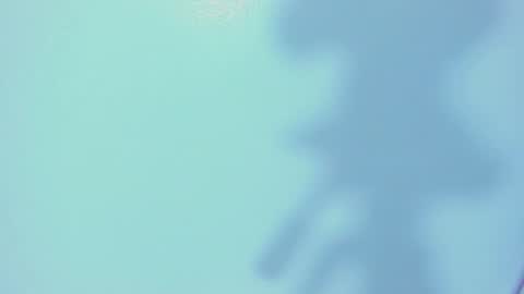    online show from 03.04.26