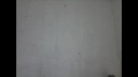 everaldosantos online show from 03.04.25