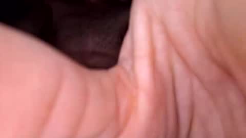 Snapshot of exhibboytoy3 chatting on 03.24.26 Exhibboytoy3 online show from 03.24.26