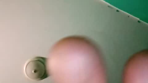 experttreecompany online show from 04.02.26