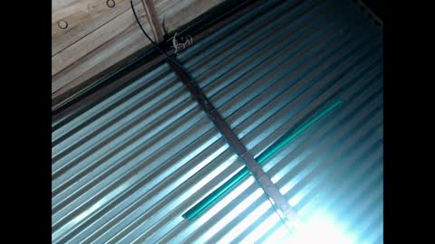 exxclusivo online show from 03.30.26